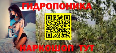 гашик Кимры