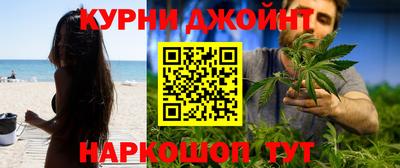 гашик Кимры