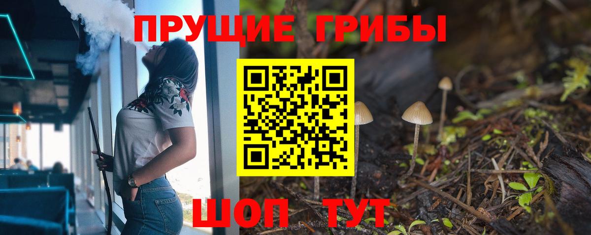 Галлюциногенные грибы Psilocybine cubensis  наркошоп  Щёкино  Вход с VPN 